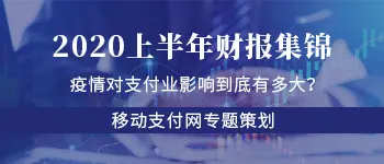 2020年上半年财报专题