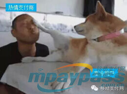 移动支付的持久战